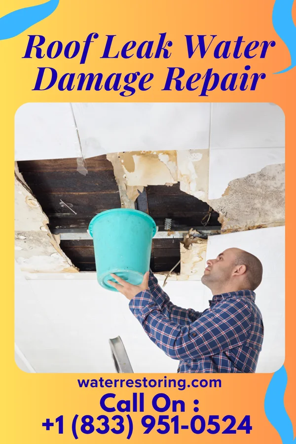 Roof Leak Water Damage Repair in Mount Carmel, OH