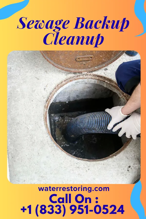 Sewage Backup Cleanup in Mount Carmel, OH